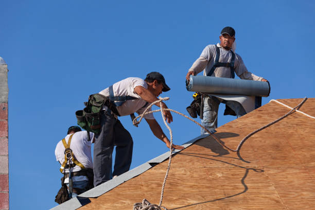 Best Metal Roofing Contractor  in Huntgburg, IN